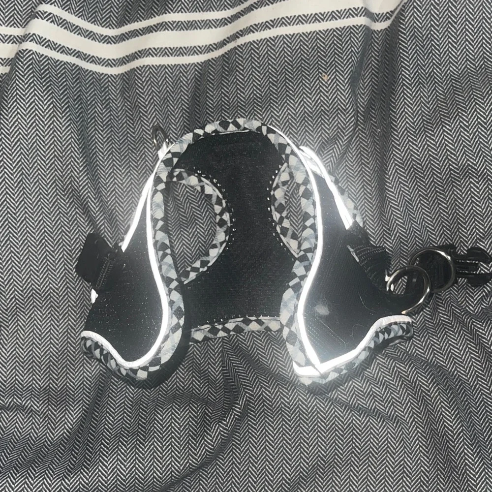 Chic Black and White Cat Harness and Leash Set